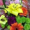 bargainblossom
